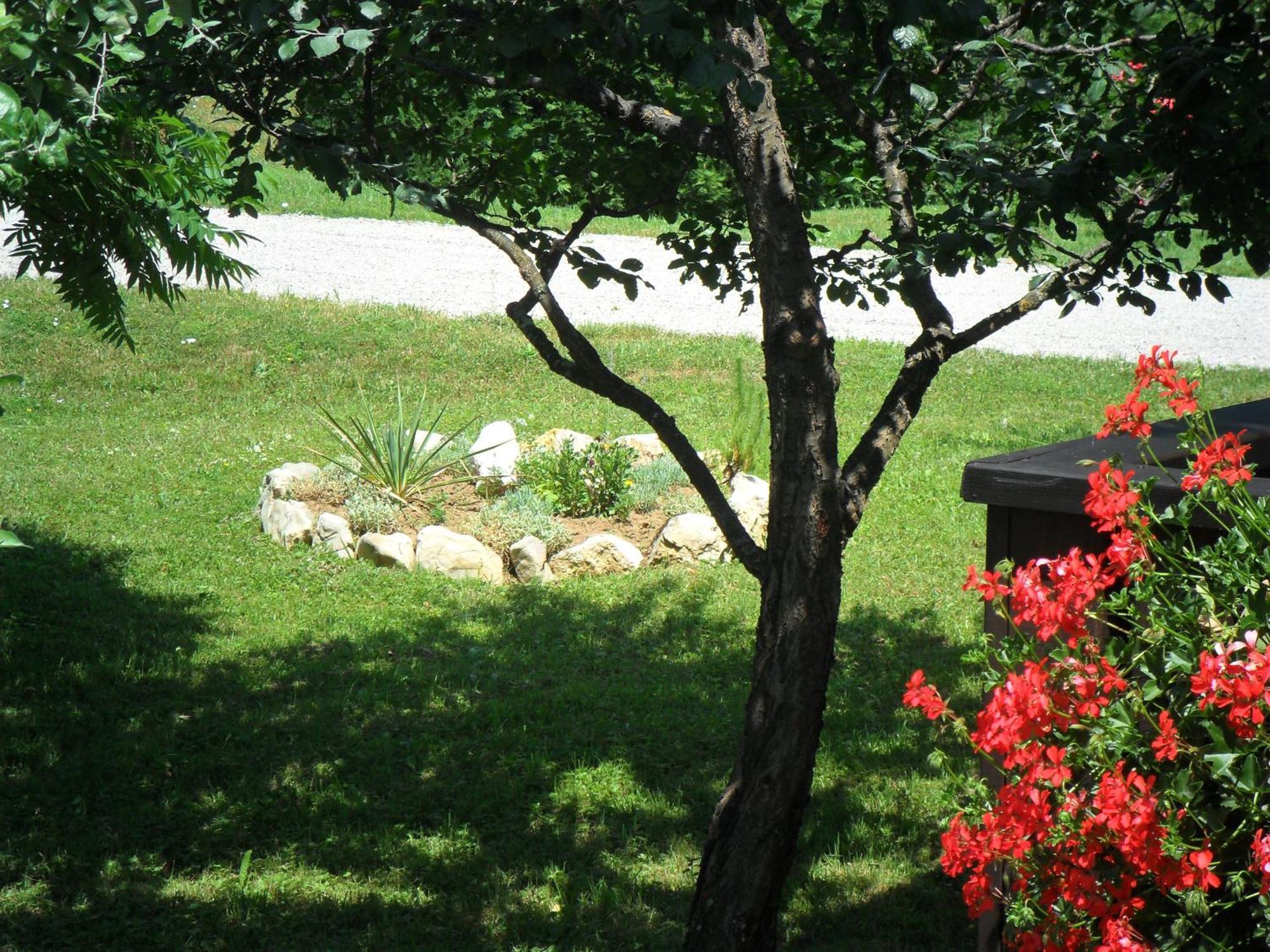 Guest Accommodation Marko Kesic Grabovac  Exterior foto