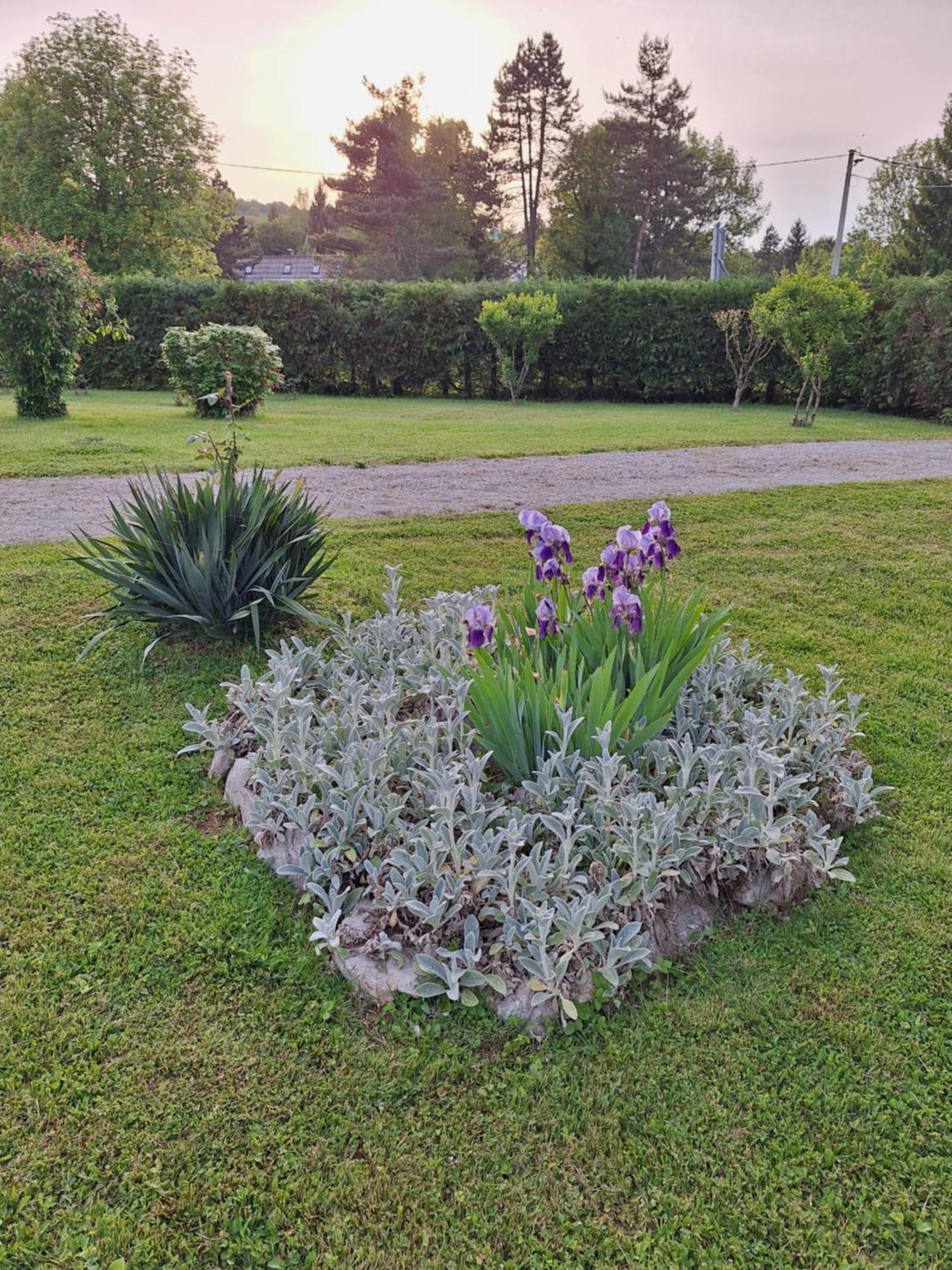 Guest Accommodation Marko Kesic Grabovac  Exterior foto