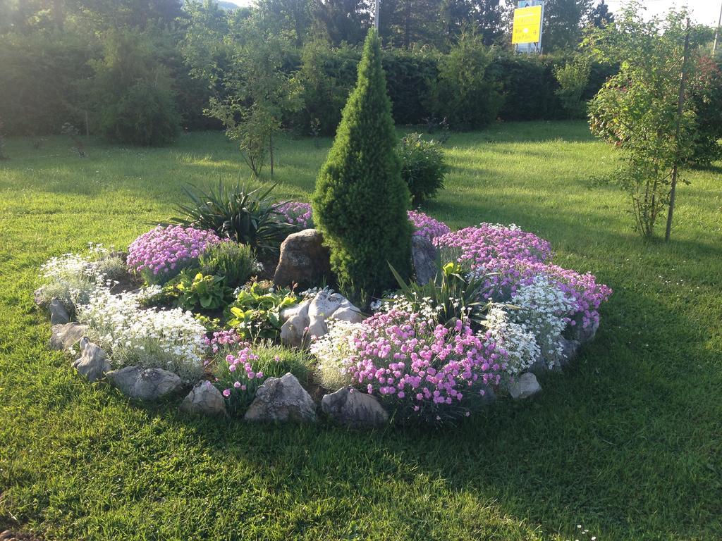Guest Accommodation Marko Kesic Grabovac  Exterior foto